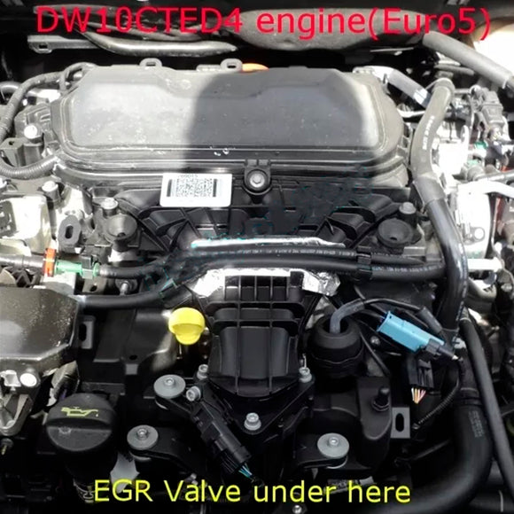 Plaque d'obturation de la vanne EGR pour Ford Mondeo Kuga Focus 2.0L TDCi Euro5 DW10CTED4