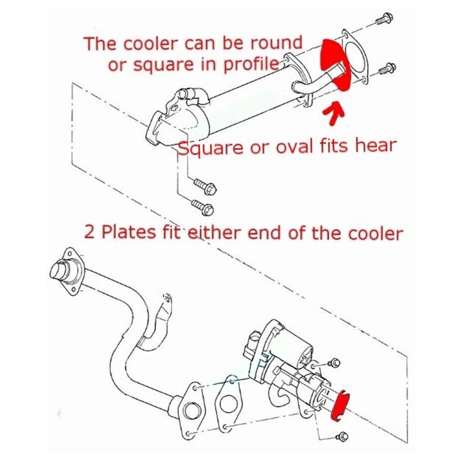 EGR-Ventil und Kühler-Blindkit für MK7 Mk8 TRANSIT 2.2 2.4 3.2 TDCi Duratorq ZSD-422/4