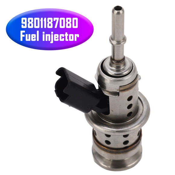 Peugeot Boxer Citroen Relay 2.0-2.2JTD DEF Fuel injector 9801187080