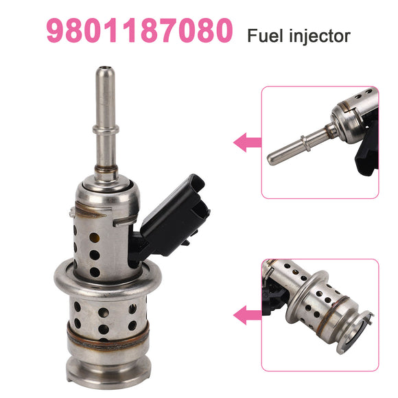 Peugeot Boxer Citroen Relay 2.0-2.2JTD DEF Fuel injector 9801187080