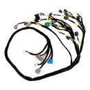 Honda Civic Integra B16 B18 D16 OBD1 Budget D & B-series Tucked Engine Harness CNCH0BD11 Generic-1