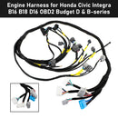 Honda Civic Integra B16 B18 D16 OBD2 Budget D & B-series Engine Harness CNCH-OBD2-1-3