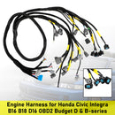 Honda Civic Integra B16 B18 D16 OBD2 Budget D & B-series Engine Harness CNCH-OBD2-1-5