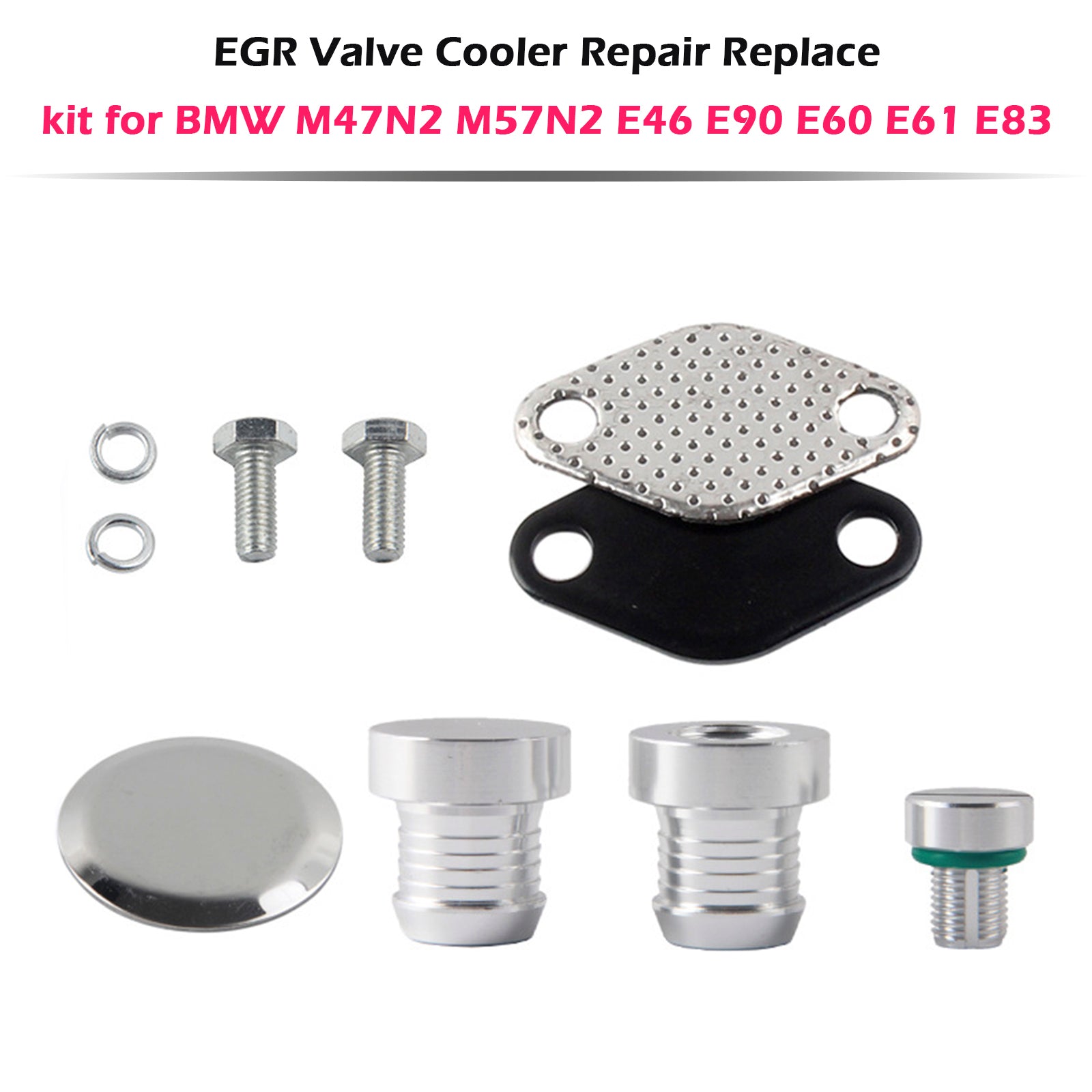 BMW M47N2 M57N2 E46 E90 E60 E61 E83 EGR Valve Cooler Repair Replace Kit