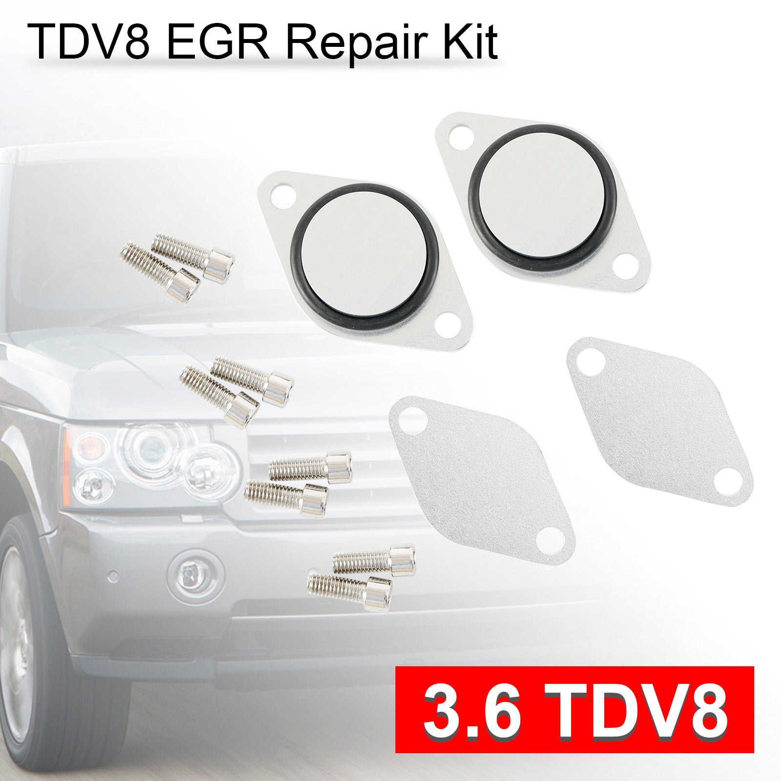 EGR Ventil Reparatur Tool Kit Blank Platte für Range Rover L322 Vogue 3,6 TDV8